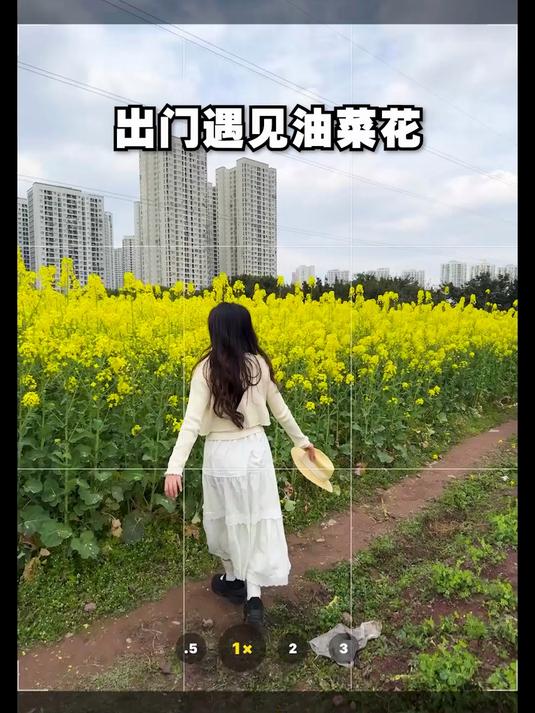 油菜花拍摄小技巧