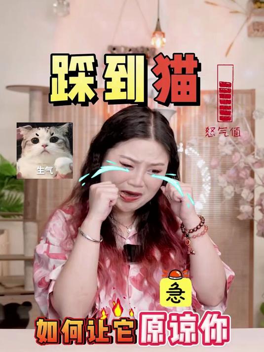 不小心踩到猫,怎么跟它道歉才最有效?科学养宠攻略