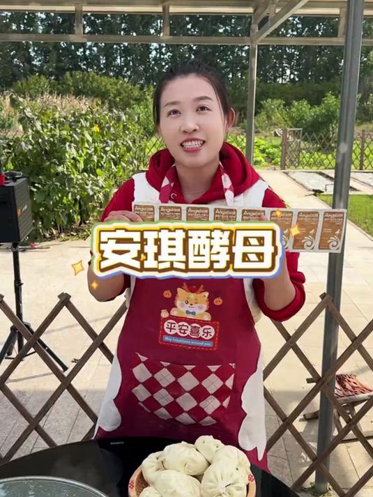 新一代高活性干酵母！安琪 6g 发酵粉，家用包子馒头专用发面必备