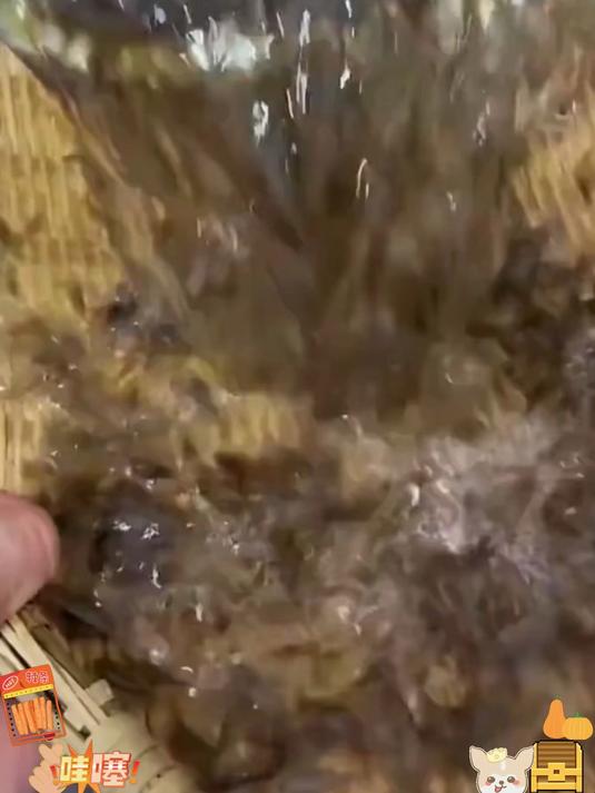 高钙小虾皮,替代鸡精味精,天然提鲜超安心