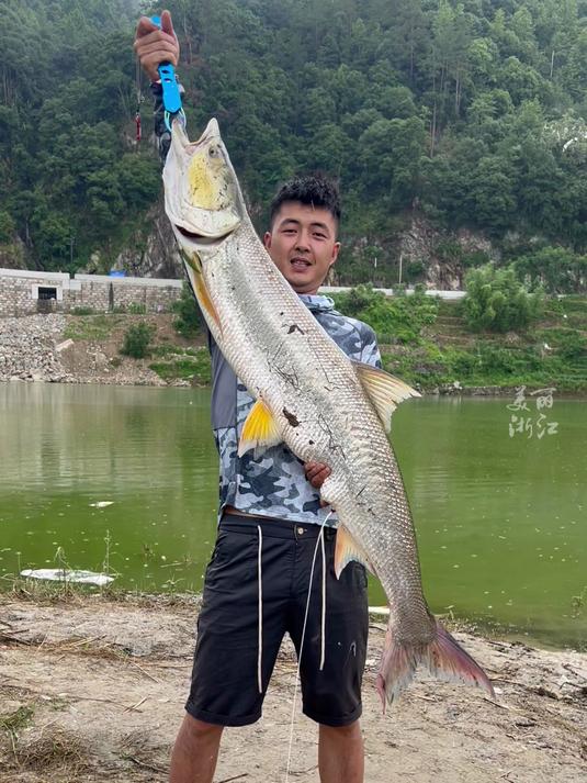 丽水小伙历经40分钟“逮捕”1米7的“水老虎” “鱼往前冲,相机都进水模糊了!”(供稿:源
