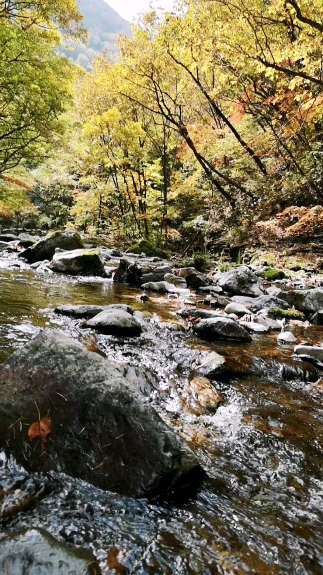 本溪关门山国家森林公园
