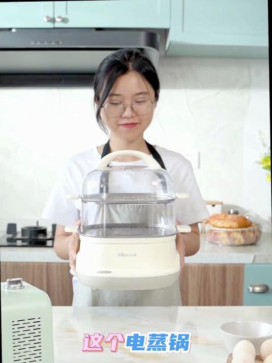 家用多功能电蒸锅