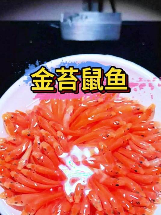 金苔鼠鱼当鱼缸清洁工,吃残渣绿藻,打造空气缸