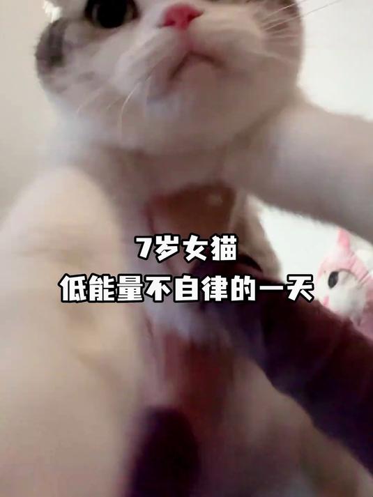7岁低能量女生不自律的一天vlog