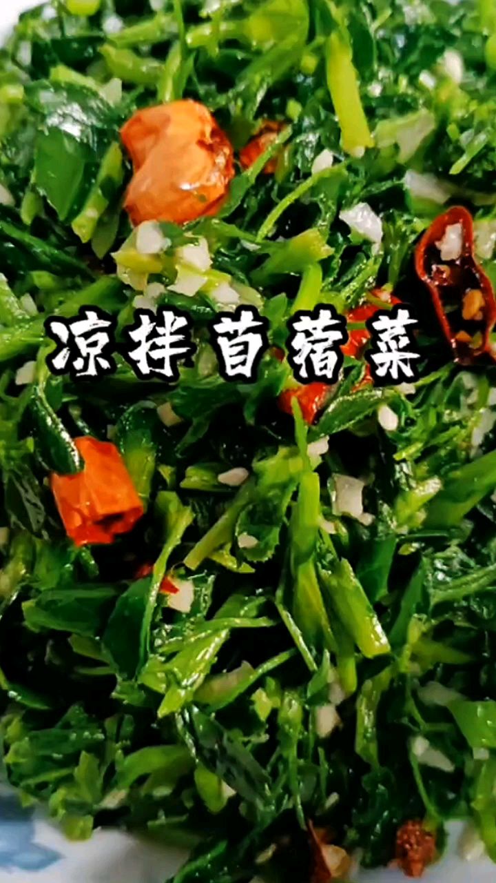 春天地里挖来的野菜纯天然的营养又美味并且不长胖的凉拌苜蓿菜非常受欢迎,一起来做吧