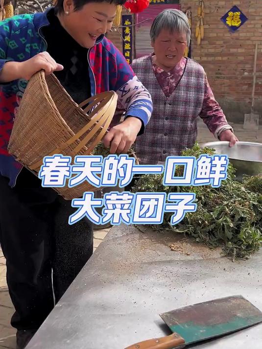 打黑心菜上瘾，婆婆说下回我也跟你打去，蒸的黑心菜的大菜团子吃