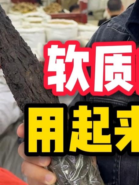 泡酒的肉苁蓉,用这种软质的才霸道