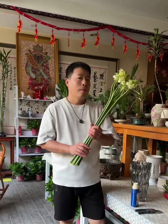 天鹅绒伯利恒之星 幸福生活怎么能缺少了鲜花呢!