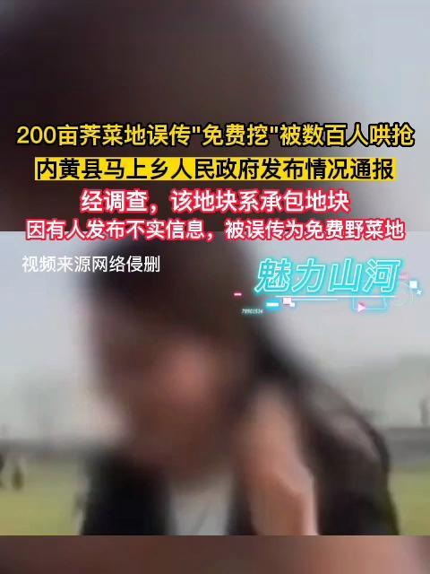 200亩荠菜地误传“免费挖”被数百人哄抢,内黄县马上乡人民政府发布情况通报:经调查,该地块