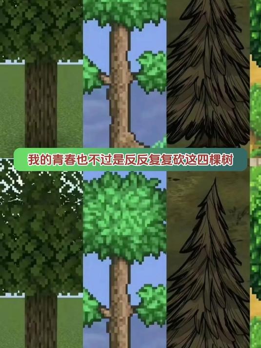 我的青春也不过是反反复复砍这四棵树 #星露谷物语 #泰拉瑞亚