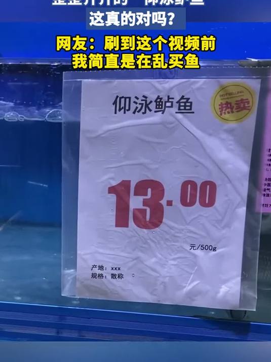 整整齐齐的“仰泳鲈鱼”这真的对吗
