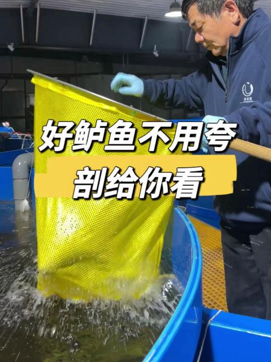 好鲈鱼不用夸 剖给你看