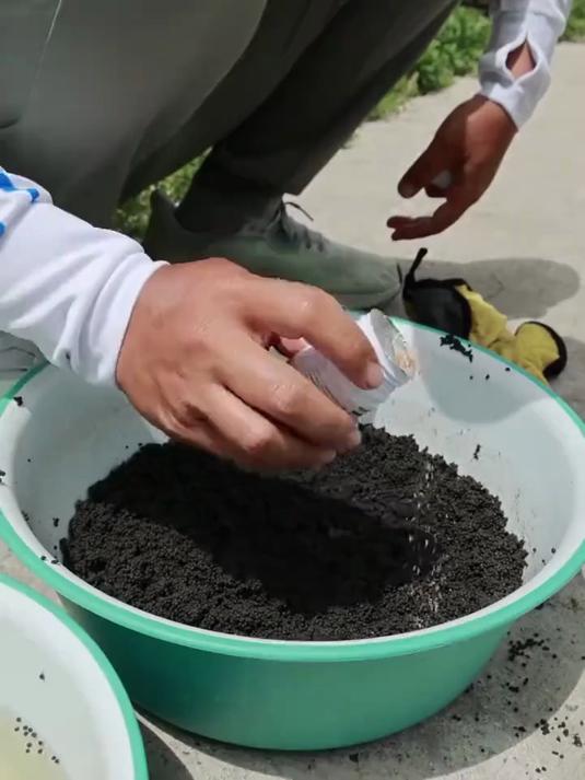 喜欢钓泡泡球,回锅鱼粘粉你都用的上,新手老手都轻松上饵