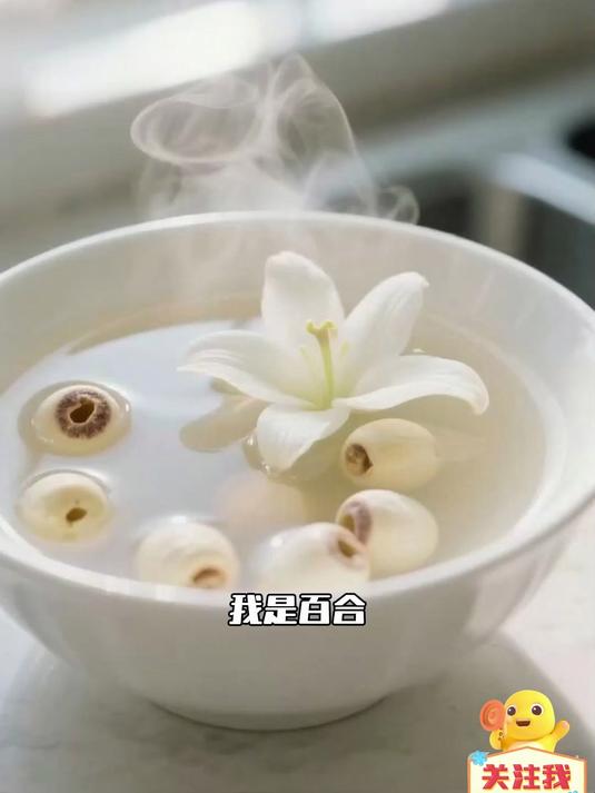 食材炖汤大全