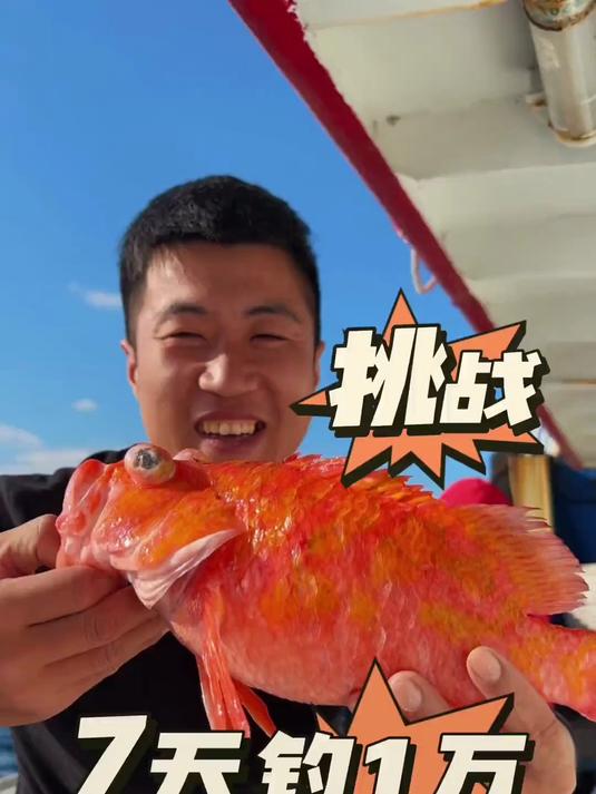460. 7天深海钓鱼，能否赚回一万？