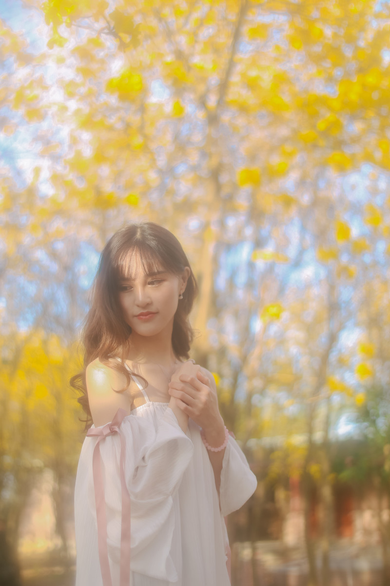 图片[11]-梦里寻花-六色网