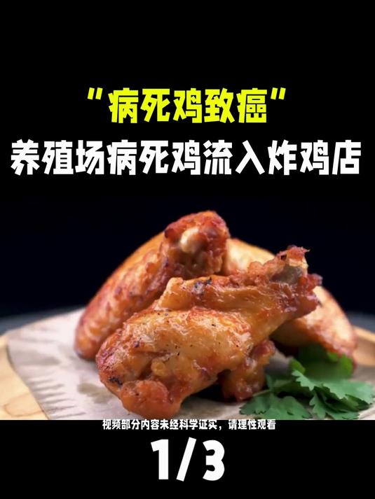 我国癌症高发和鸡有关?养殖场病死鸡流入炸鸡店,小心吃多了致癌