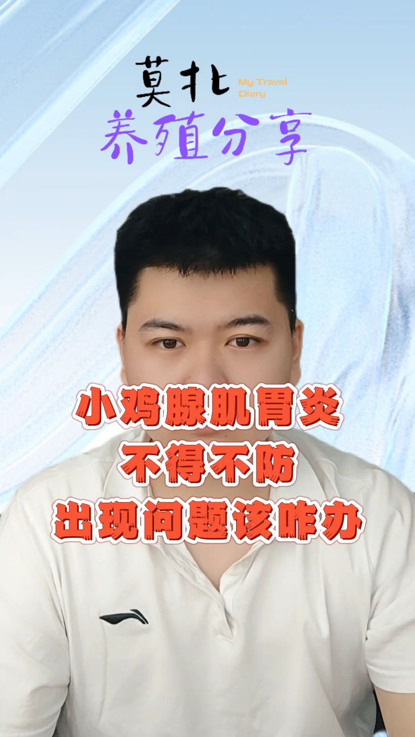 鸡腺肌胃炎的早期症状肉鸡腺肌胃炎症状肉鸡得了腺肌胃炎怎么办鸡腺胃炎的症状表现