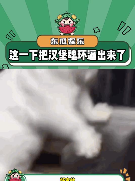 你说说你惹她干嘛!汉堡武魂都逼出来了!