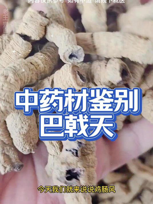 巴戟天和巴戟肉你买的是哪个?