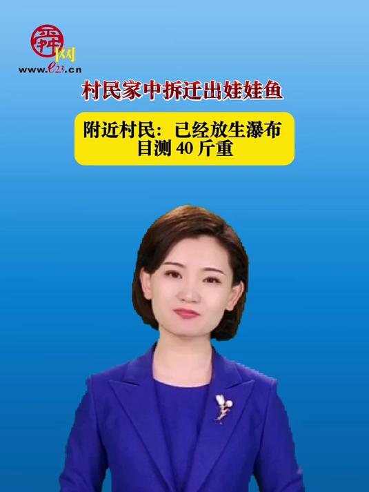 村民家中拆迁出娃娃鱼 附近村民:已经放生瀑布 目测 40 斤重