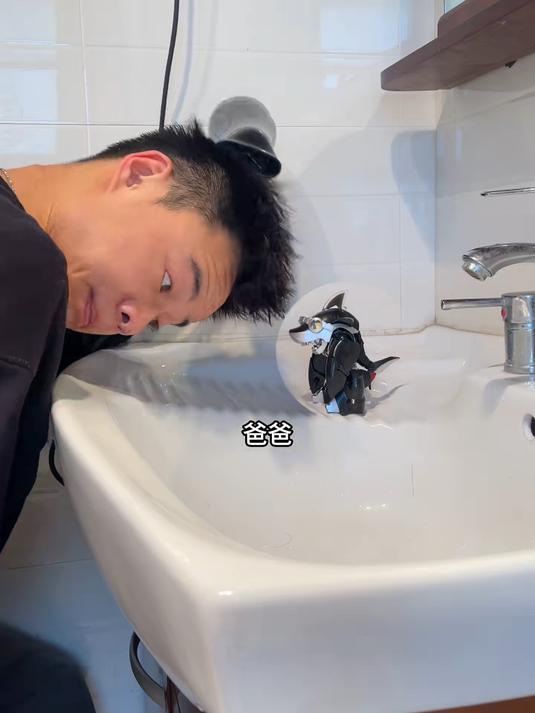 鲨鱼辣椒与剁椒鱼头