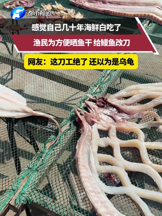 感觉自己几十年海鲜白吃了 渔民为方便晒鱼干 给鳗鱼改刀 网友：这刀工绝了 还以为是乌龟