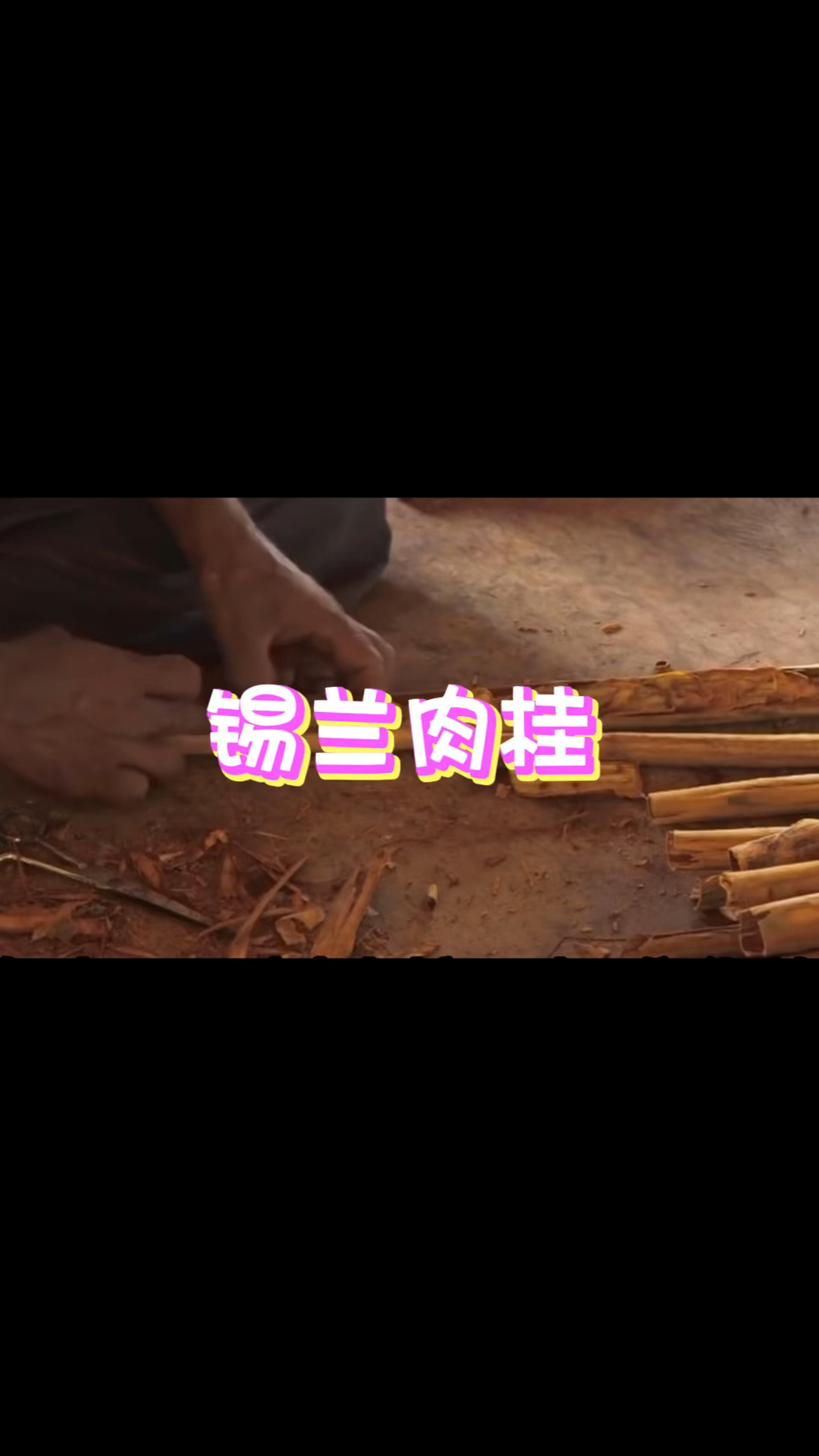 斯里兰卡肉桂你知道是怎么制作的吗?
