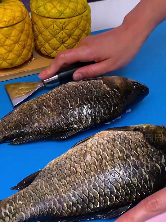 还在为刮鱼鳞而烦恼吗?用这款不锈钢鱼鳞刨吧!