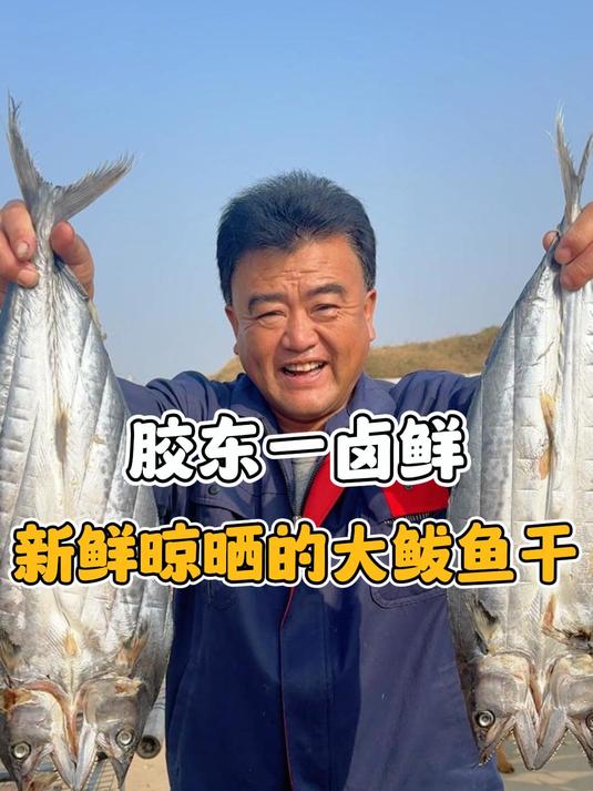 新鲜晾晒的鲅鱼干,蒸着吃 烤着吃都相当不错,干净卫生吃着放心