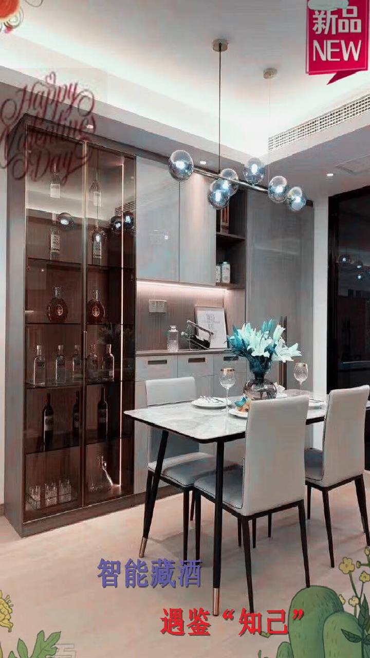 现代简约酒柜靠墙带灯轻奢餐厅储物柜