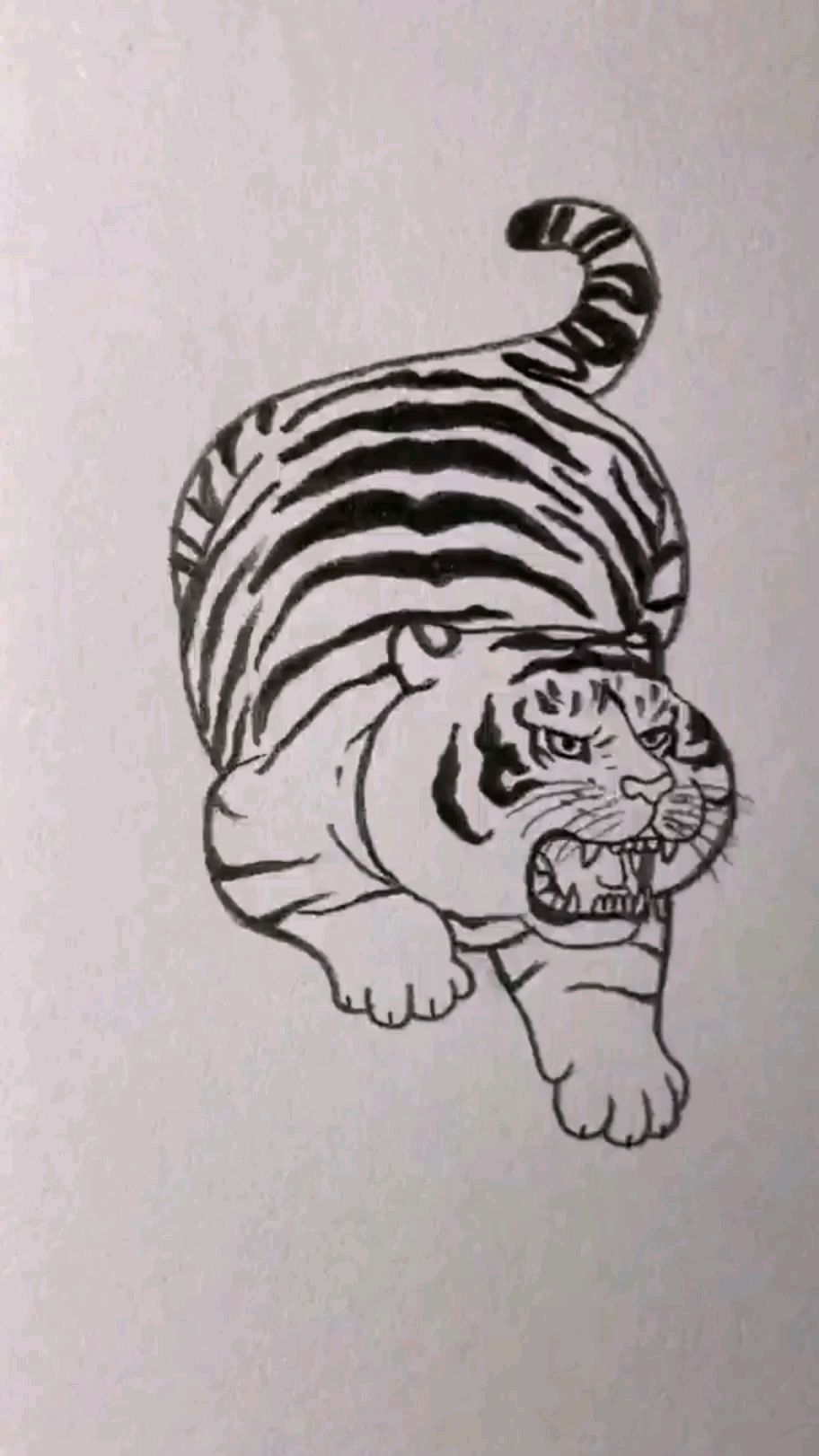 简笔画:画一只老虎