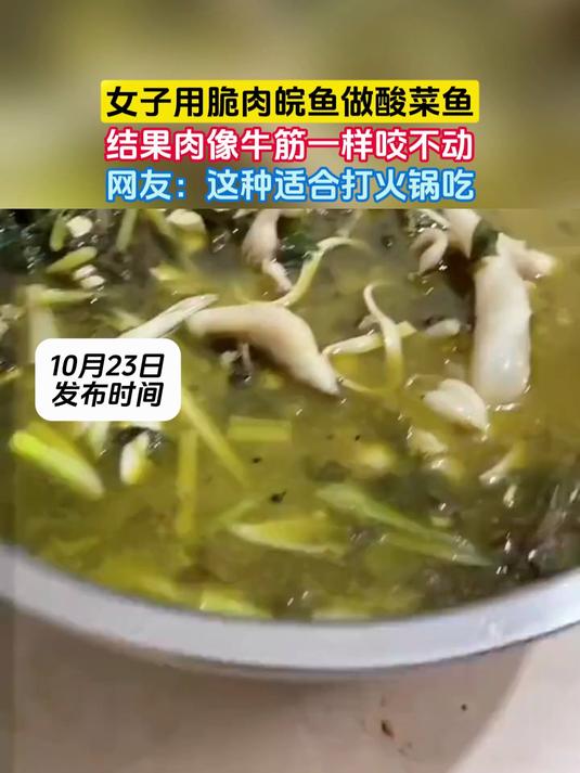 女子用脆肉皖鱼做酸菜鱼,结果肉像牛筋一样咬不动,网友:这种适合打火锅吃