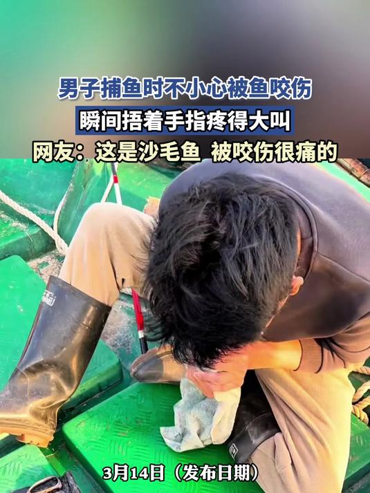 男子捕鱼时不小心被鱼咬伤，瞬间捂着手指疼得大叫，网友：这是沙毛鱼，被咬伤很痛的