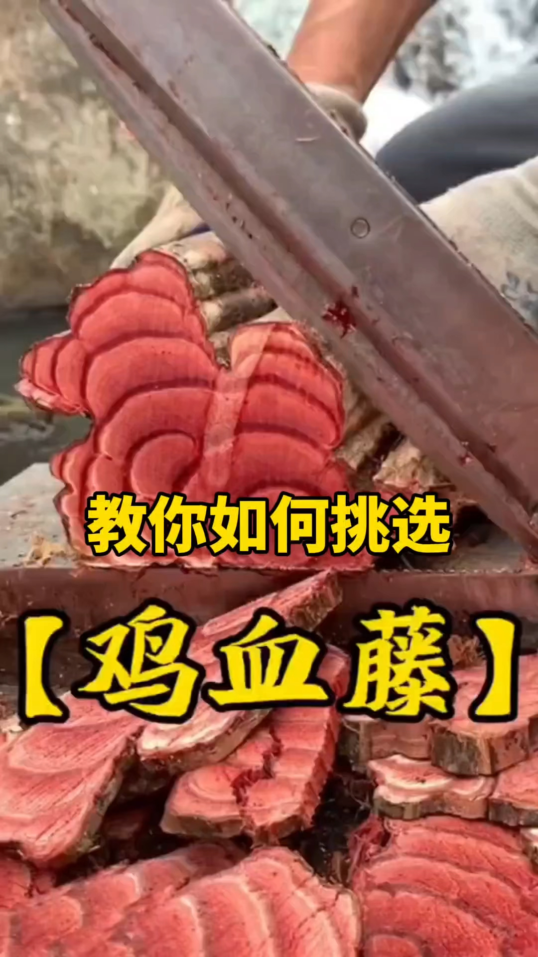 好的鸡血藤应该怎么挑选呢