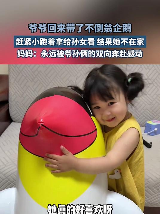 爷爷回来带了不倒翁企鹅,赶紧小跑着拿给孙女看
