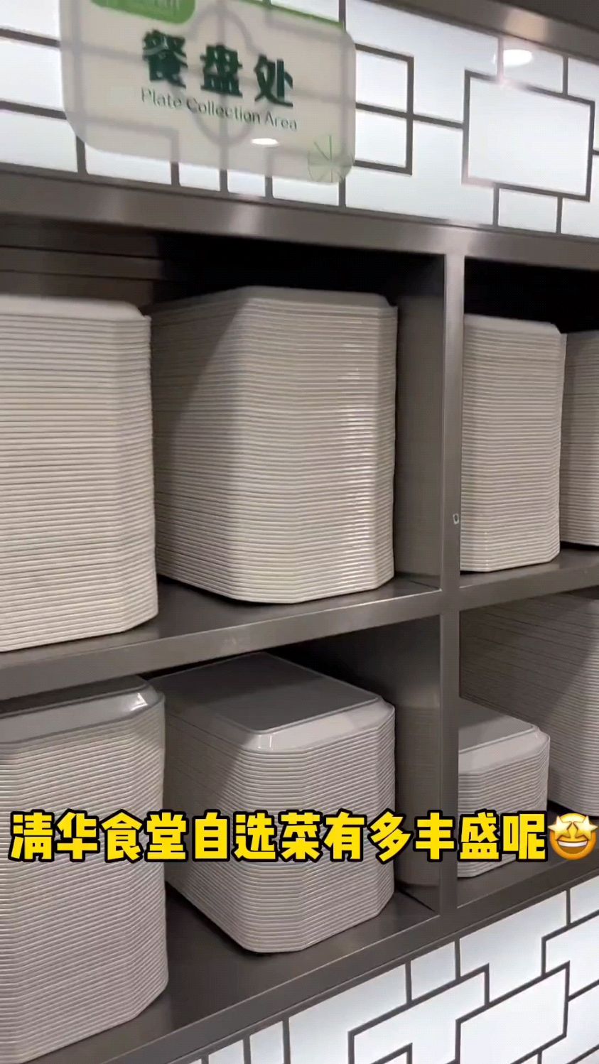 清华食堂自选菜有多丰盛呢呢 #清华大学 #大学食堂