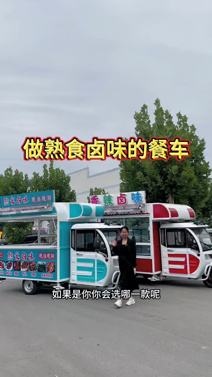 电动三轮摆摊车小吃车