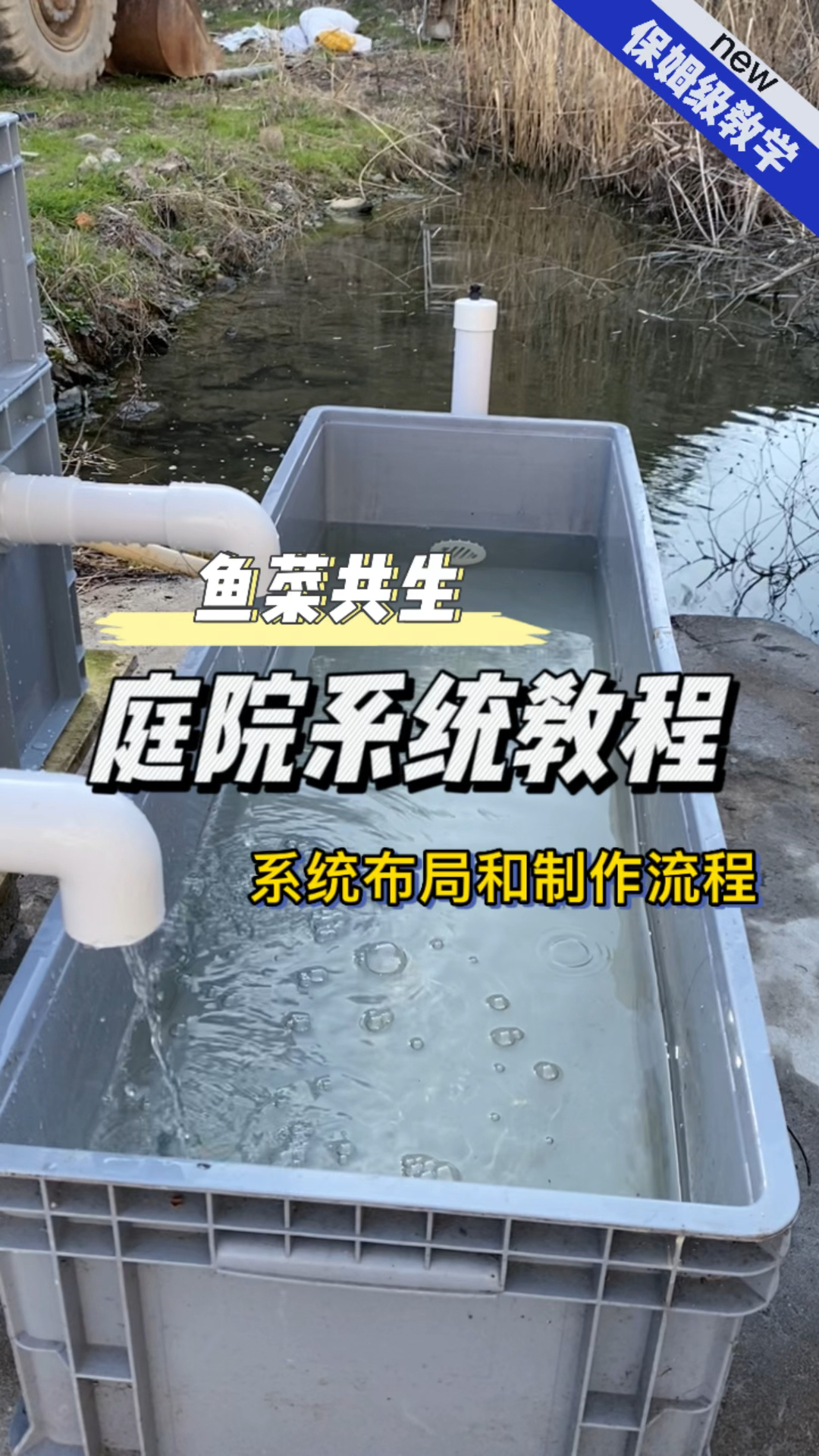 野生大叔,3分钟教你做一套庭院版鱼菜共生系统!
