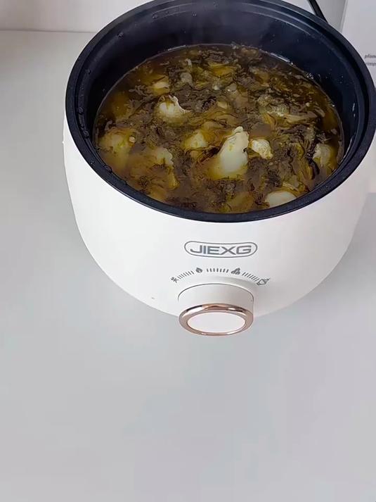 德国捷行电煮锅