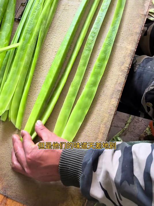 丝滑不丝滑,贡菜和莴笋长相相似,味道差距很大