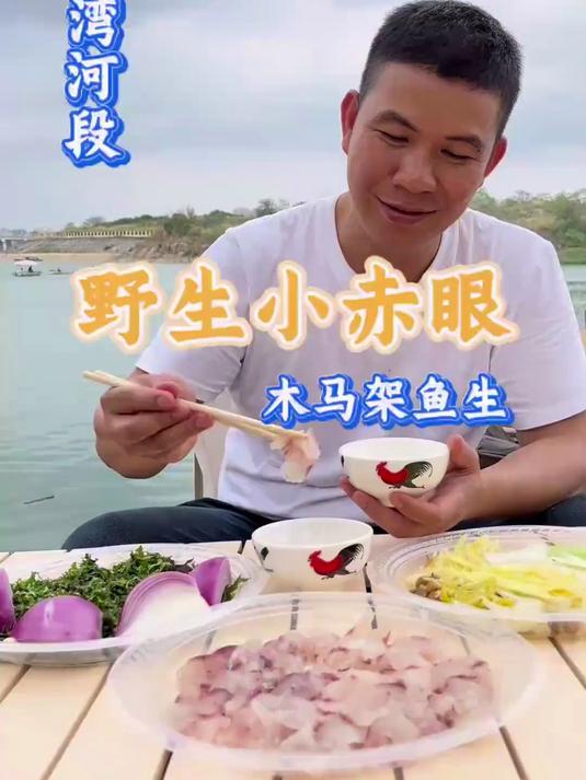 花20块买了几条小赤眼做木马架鱼生靓粒粒
