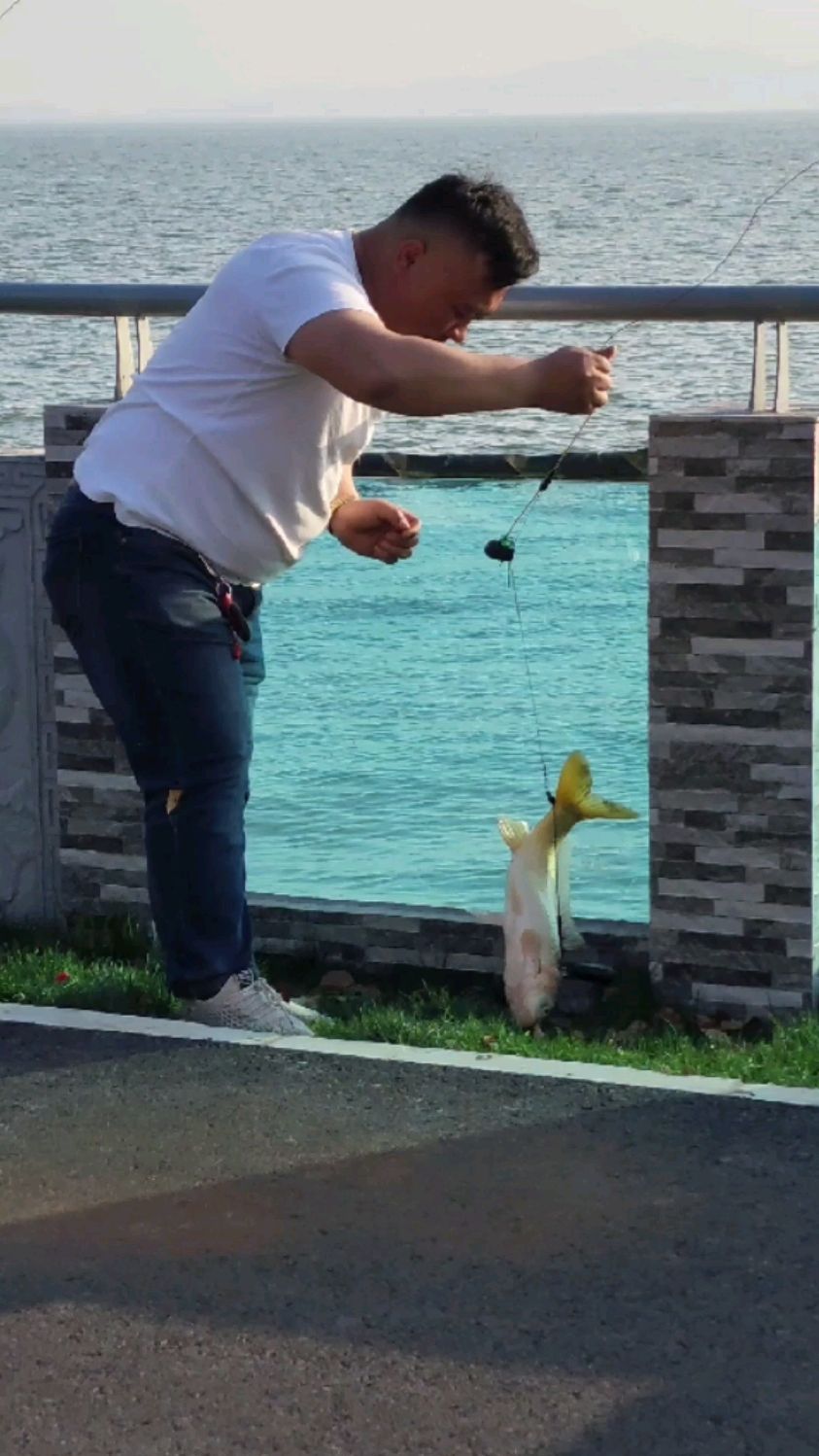 这高清水下摄像头钓鱼锚太利害了,小伙钩钩不落空,没几分钟几条大鱼就被钓上了岸