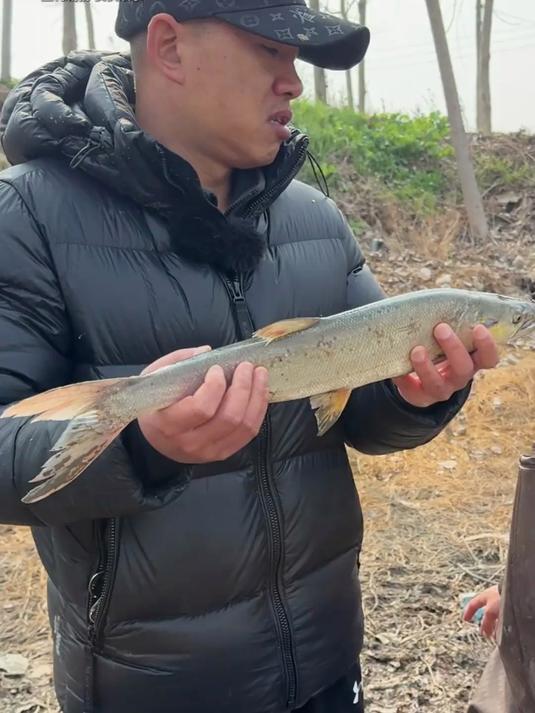 鱼塘惊现“淡水老虎”水下森林究竟藏着什么秘密