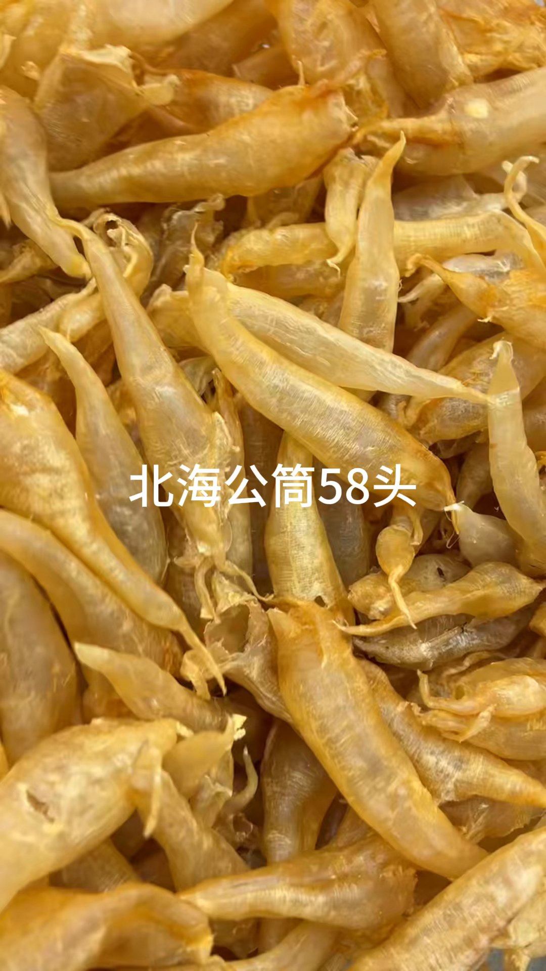 北海公筒58头,双背33头,北海金龙混18,25头,佐罗条160头,赤嘴片50头,阴阳条5
