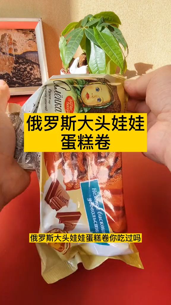 俄罗斯的小巧克力蛋糕太好吃了