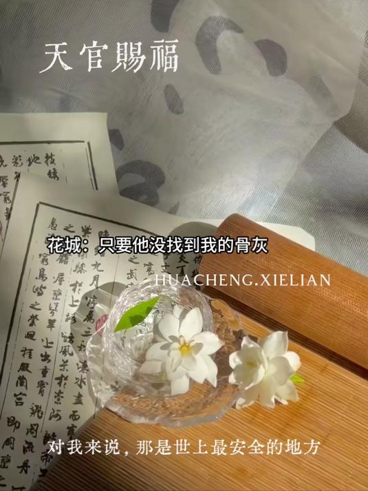 骨灰不是花城的弱点,谢怜才是