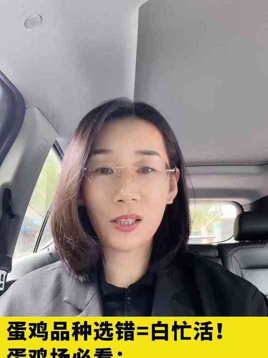 蛋鸡哪个品种好养？