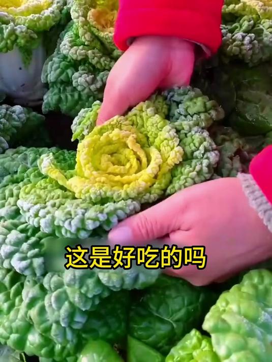 认识一下各位蔬菜，全认识算我输（17）#百家流量扶持计划#